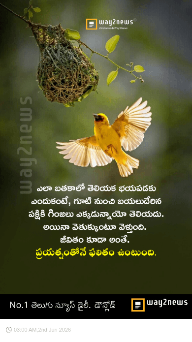 ✌️నేటి నా స్టేటస్ - ShareChat