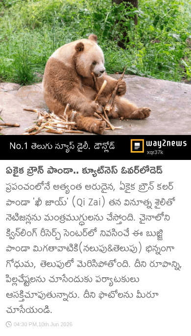 ✌️నేటి నా స్టేటస్ - ShareChat
